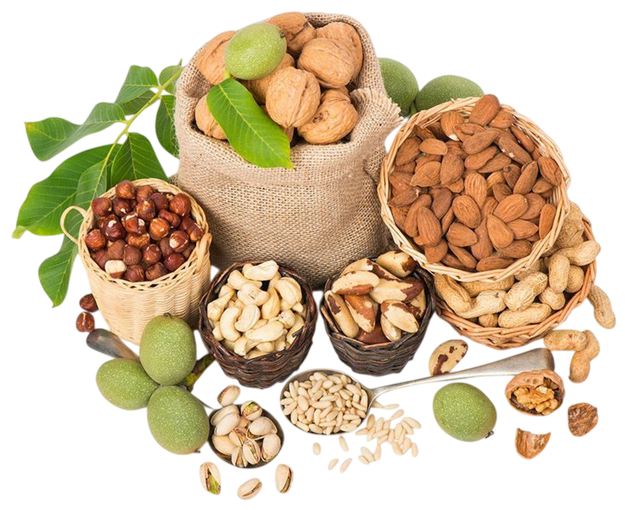 Premium Dry Fruits
